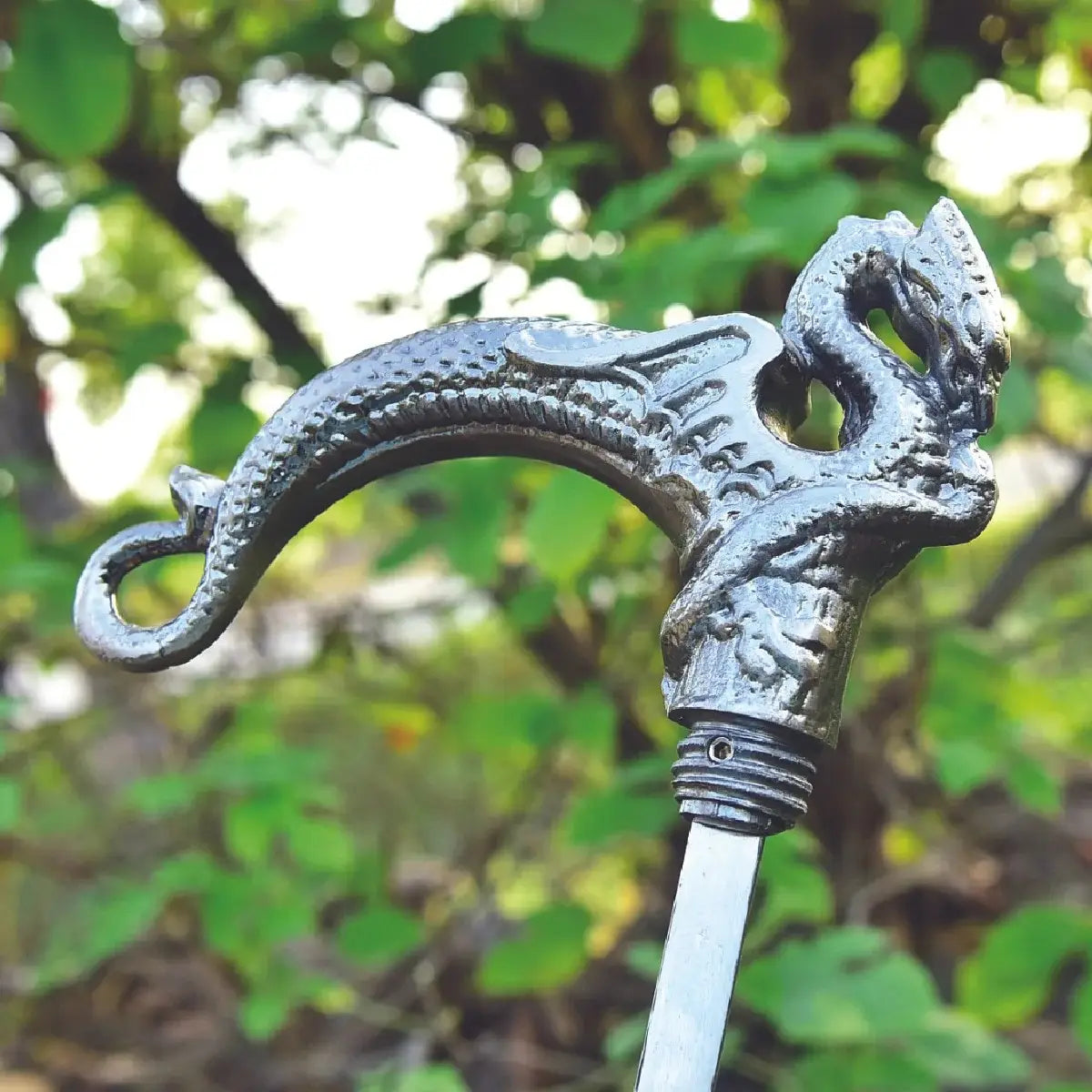 Big Dragon Handle Walking Stick