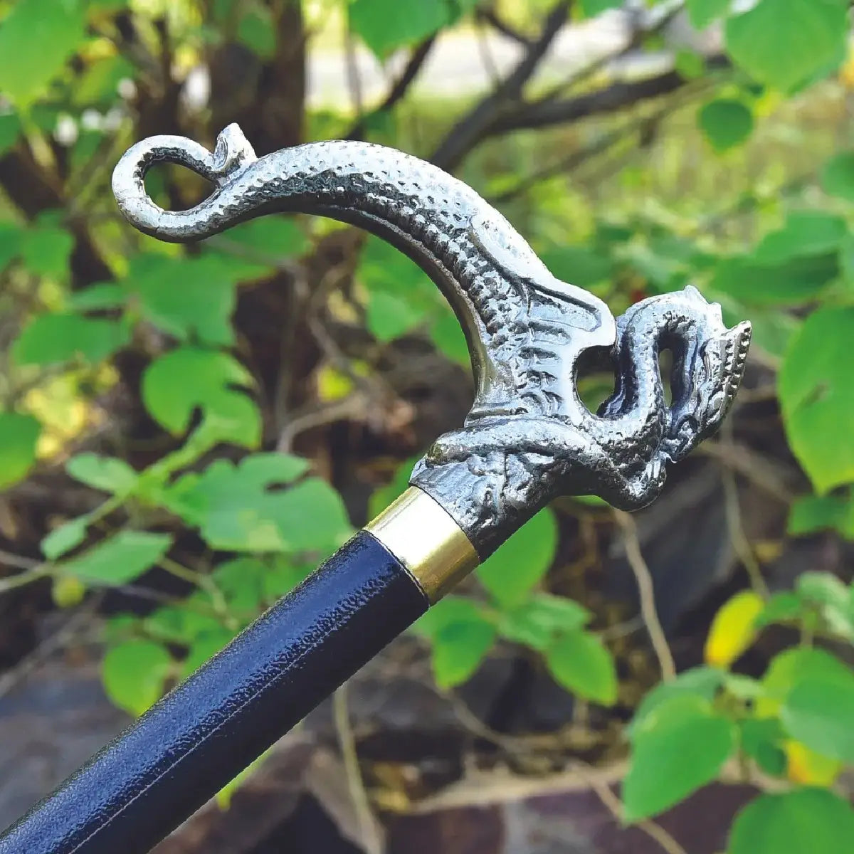 Big Dragon Handle Walking Stick