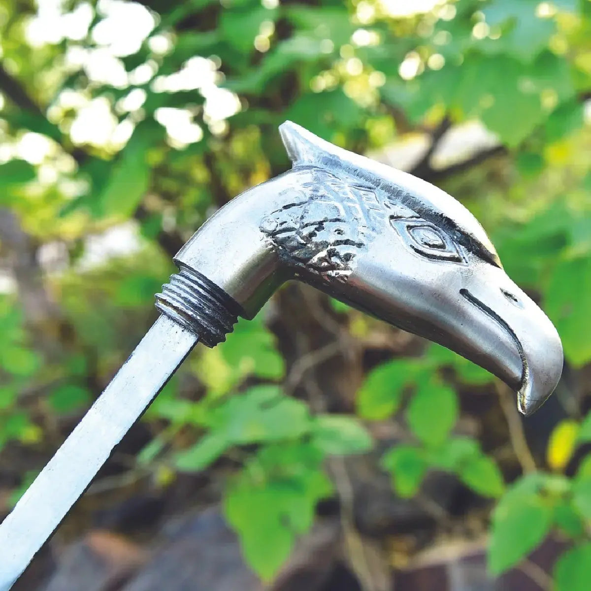 Bird face Handle Walking Stick