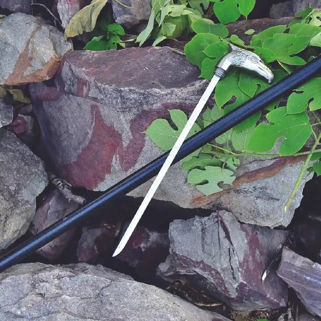 Bird face Handle Walking Stick