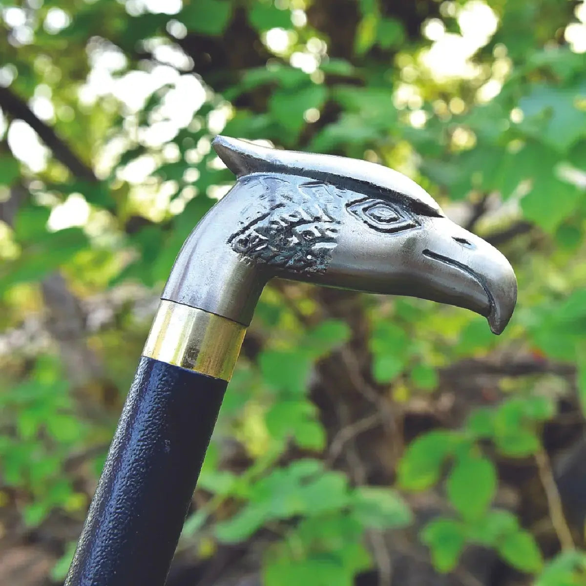 Bird face Handle Walking Stick