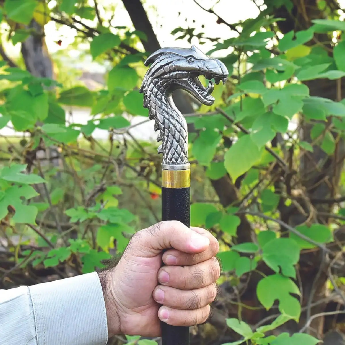Dragon Face Handle Walking Stick