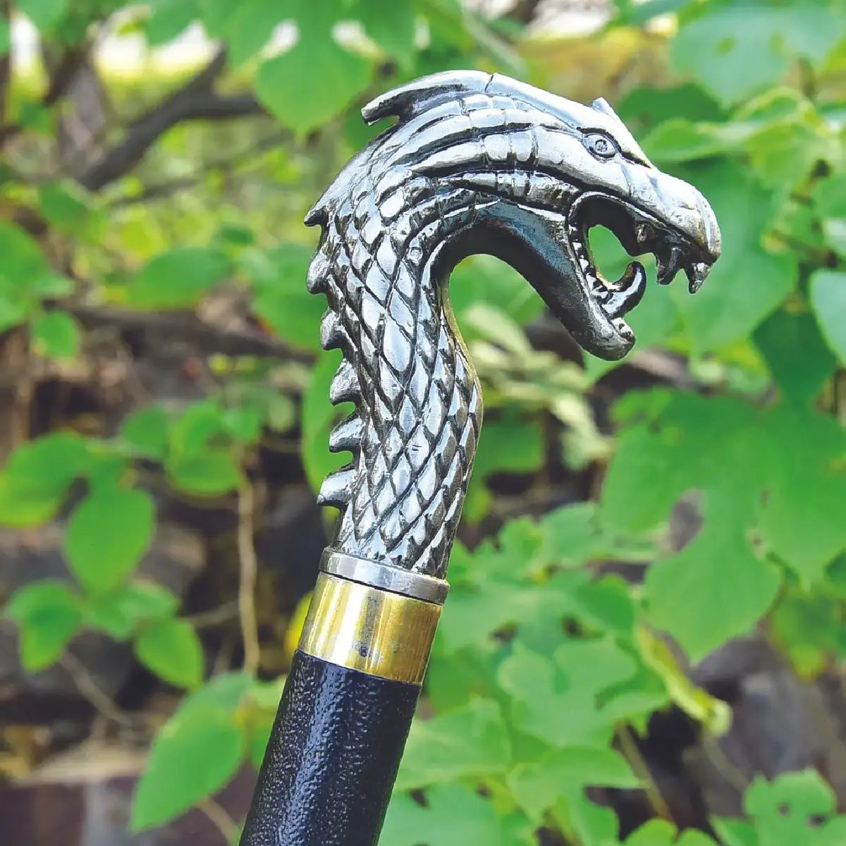 Dragon Face Handle Walking Stick